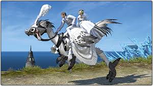 Final Fantasy Xiv Ceremony Of Eternal Bonding Stormblood, which is a minion.