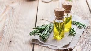 7 essential oils to get rid of fruit flies cradiori essential oils rosemary what is fruit oils