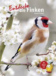 In diesem clip zeige ich 13 vogelarten aus der artenreichen familie der finken. Finken