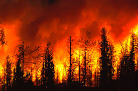 The Biggest Wildfires in Hawaii | 5/6/2025