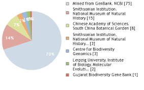 Image result for Dyschoriste trichocalyx