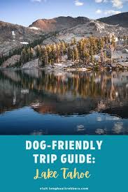 Dog friendly lodging at lake tahoe. A Dog Friendly Guide To Lake Tahoe Long Haul Trekkers In 2021 Tahoe Trip Lake Tahoe Vacation Lake Tahoe