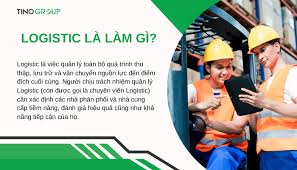 Logistic là làm gì? 7 vai trò, 5 thành phần của Logistic
