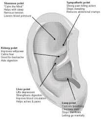 Ear Acupuncture Points Plus Acupuncture Acupressure Treatment Acupuncture Acupuncture Points
