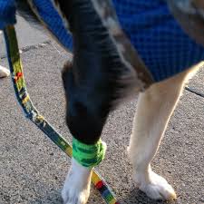 Check spelling or type a new query. Marina Pet Hospital Marina District 2024 Lombard St