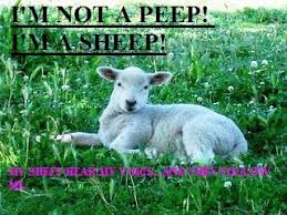 I Am A Sheep Belonging To The Good Shepherd He Knows My Name Spring Lambs Lamb Lamb Shepherds Pie