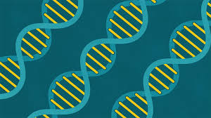 Yet the bump could also be from an injury, fluid buildup, or a hernia. Genetics And Advanced Melanoma Skin Cancer Everyday Health