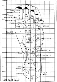 Acupressure Reflexology Www Satgur Net