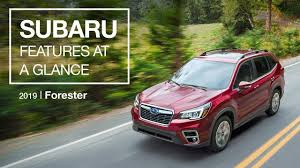 News' best cars of 2021. 2020 Subaru Towing Capacity Subaru Forester Subaru Towing