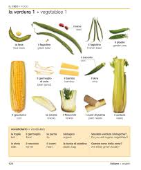 Italian English Visual Bilingual Dictionary Learning Italian French Vocabulary Learn French