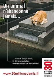 Stop Aux Abandons D 39 Animaux Voir Aussi Podcast Petits Citoyens Le Abandons Aussi Aux Citoyens D39animaux Le Petits Podcast Stop Voir