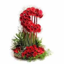 Pin On Sending Flowers To Delhi Online With Today Delivery