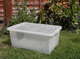 Stop being naughty, or else i will tell the headmaster. How To Create A Hedgehog Feeding Station