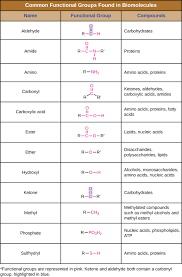 7 1 Organic Molecules Biology Libretexts