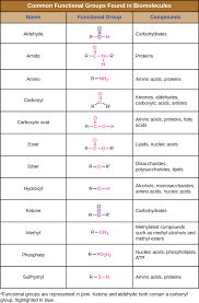 7 1 organic molecules biology libretexts