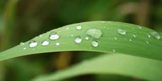 68.147 booty shaking contest vídeos gratuitos encontrados en xvideos con esta búsqueda. Nullam Vitae Nibh Un Odiosters Klinkmann Federn Gmbh