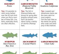 California 2015 Fishing Calendar - Game & Fish