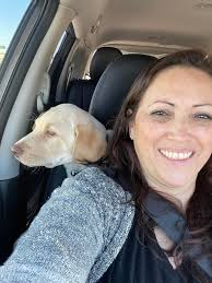 Adorable Yorkie Puppies