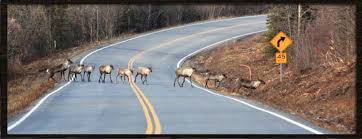 Mile 265 richardson hwy, delta junction, ak 99737 City Of Delta Junction Alaska
