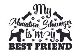 It is well described in the illustrated standard drawn up by the scottish terrier club of america as a study. Pin On People Vectors Free