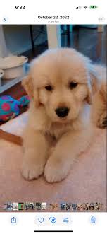 💙 Remembering Theodore “Teddy”...