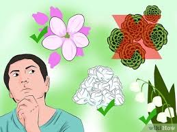 It is, in fact, in lieu of. How To Buy Flowers For A Funeral 12 Steps