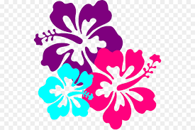 Alabama department of archives and history. Drawing Of Family Png Download 588 598 Free Transparent Hawaii Png Download Cleanpng Kisspng