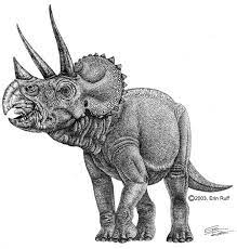 Pin On Triceratops