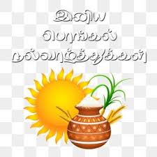 feliz cumpleanos osito vector png oso png y psd para descargar gratis pngtree in 2020 happy pongal happy pongal in tamil happy christmas greetings pinterest