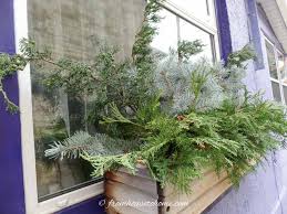 Tall branches in the back and the shorties up just add snow for the perfect winter window box outdoors. Winter Window Boxes How To Make Winter Planter Displays The Easy Way Gardening From House To Home
