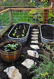Pin On All Things Garden