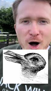 Optical Illusion Animal