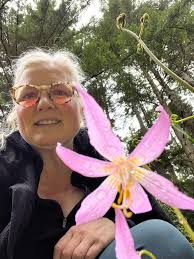 Chalky, well-drained verge of a rural road in Wiltshire. Can someone please  tell me what the 'fluffy' white flowers are?