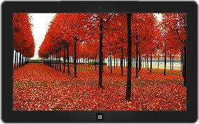 Windows 10 thanksgiving desktop themes. 10 Windows Themes For This Autumn Season