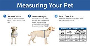 56 Exhaustive Dog Door Size Chart