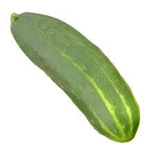 Image result for Cucumis sativus