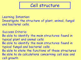 In this course you need to learn more about the. Cell Structure Learning Intention Ppt Video Online Download