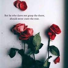 Every Rose Has It S Thorns Rose Quotes Flowers Beautiful Flowers
