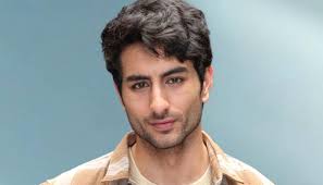 Ibrahim Ali Khan says he 'rushed' into debut after OTT setbacks