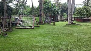 We did not find results for: Taman Bermain Anak Salsabila Kuningan Jabar Youtube