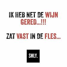 Spreuken Grappige Citaten Grappige Teksten Grappige Quotes