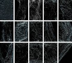 Simple rules no credit required. Free Download Plastic Texture Wrapping Set On Behance