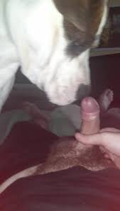 Dog giving me a Lickjob, Rimjob then Cumshot
