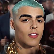 Alejandro Fabian (alejandrofabianrojassegovia)