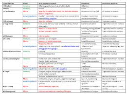 Spirited Speech Pathology Cranial Nerves