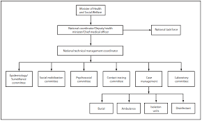 42 Unfolded World Health Organization Organizational Chart