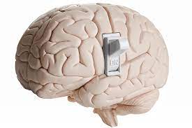 Having a million things on your mind is no excuse for not doing your best work. How To Clear Your Mind All Of Humanity S Problems Stem From By Mike Raab The Raabit Hole Medium