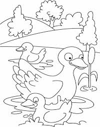 Cukup dengan lima langkah sederhana origami kelinci pun selesai dibuat. Mewarnai Gambar Anak Bebek Pewarna B