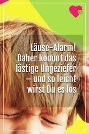 lause und nissenwarnung in der kita so erkennst du die lastigen krabbler sofort kinder gesundheit magen darm grippe kinder kindergesundheit