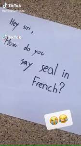 About press copyright contact us creators advertise developers terms privacy policy & safety how youtube works test new features press copyright contact us creators. Seal In French Video Funny Funny Moments Really Funny Memes